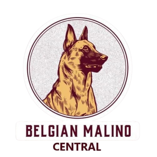 Belgian Malino Central