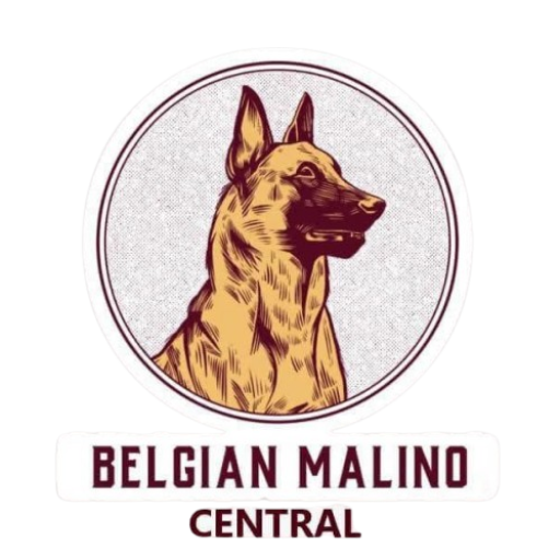 Belgian Malino Central